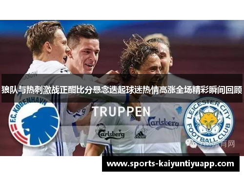 狼队与热刺激战正酣比分悬念迭起球迷热情高涨全场精彩瞬间回顾